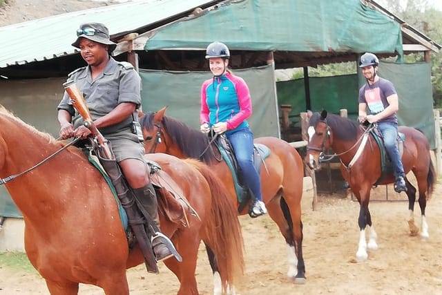 Addo Elephant Safari and Horseback Riding in Addo Combo - Photo 1 of 9